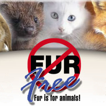 To strive for the total abolition of all fur farms and the use of fur worldwide.