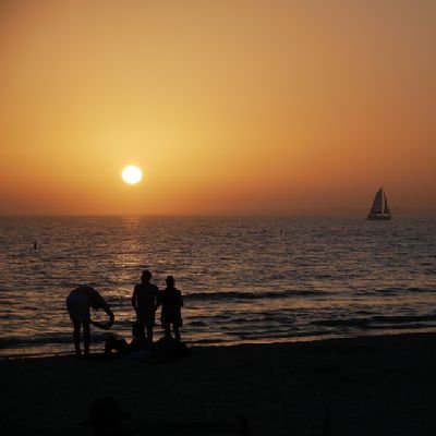 xavier_dot_life's profile picture. 
