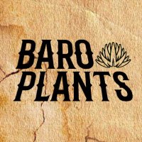 バロ(@baro_plants) 's Twitter Profileg