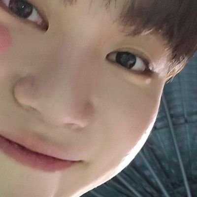 ㅤ
ㅤㅤㅤㅤㅤㅤㅤㅤㅤㅤㅤㅤㅤㅤㅤㅤㅤㅤㅤㅤㅤㅤㅤㅤㅤㅤ
ㅤㅤ캐럿들이 되기 위한 특별한 계정ㅤㅤㅤㅤㅤㅤㅤㅤ
ㅤㅤㅤpecinta gyuseokboosol and CHEOL ㅤㅤㅤㅤㅤㅤㅤㅤㅤㅤㅤㅤㅤㅤ
ㅤㅤㅤ
ㅤㅤ