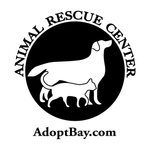 Animal Rescue Center of Bay County is a Panama City, Florida volunteer & foster based rescue that concentrates on saving animals scheduled to be euthanized.