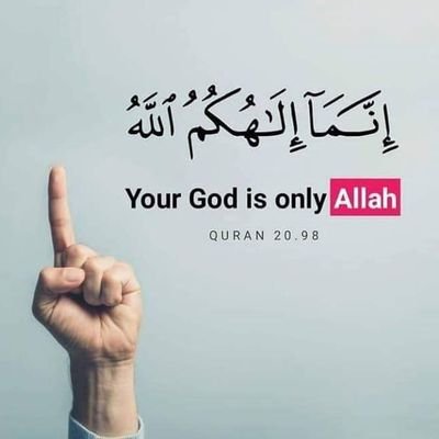 اِنَّمَا الْمُؤْمِنُونَ اِخْوَةٌ.♥