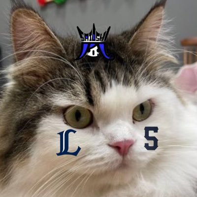 nekosuke_apple's profile picture. 西武ライオンズ、猫、嵐が好きです🦁🍎🎤ライオンズ(04〜)、嵐(05〜)、#外崎修汰、#大野智