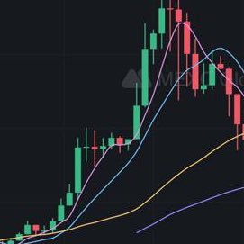 web3brewer's profile picture. 