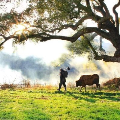 爱美食、爱生活，爱烟花，来自世界花炮之乡。