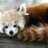 Marc Van Der Linden (@marcvanderlind2) Twitter profile photo