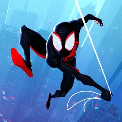 iheartspidervrs Profile Picture