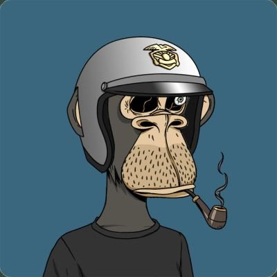 noatrandel2056's profile picture. 