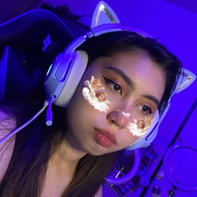 likes cats and oh, i stream too ✨