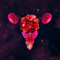 Viva La Flow (@viva_la_flow) 's Twitter Profile