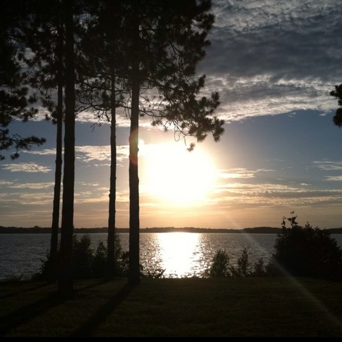 kalkin84's profile picture. 