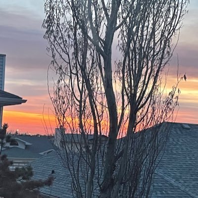 GUTIERREZGRE's profile picture. EFL Teacher, Proud Peruvian-Canadian. Equity, equality, diversity supporter. Mental health is real. Keep the ones who add in your life.