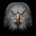 levent ertuğrul (@leventerturul10) Twitter profile photo levent ertuğrul (@leventerturul10) Twitter profile photo