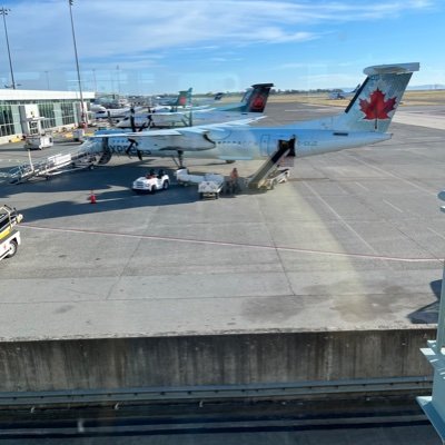 DavidLi128's profile picture. University of Toronto  ECE