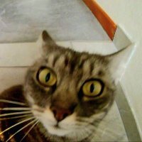 Flickachu (@tom___117) 's Twitter Profile Photo