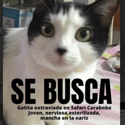 #LuluSomosTodos Ayudemos a que vuelva a su hogar y que las responsables paguen
 Amo el 🌅🌊 y a los Animales🐾
#NoAlMaltratoAnimal 💕