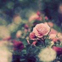 .. (@7s_to) 's Twitter Profile Photo .. (@7s_to) 's Twitter Profile Photo