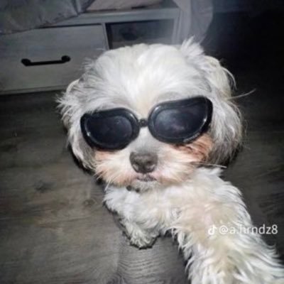 sazilch's profile picture. gimme a sec