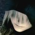 getbaptised (@getbaptisedxd) Twitter profile photo getbaptised (@getbaptisedxd) Twitter profile photo