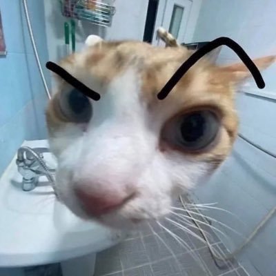melceth24's profile picture. 