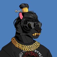 VIGZY I Gnoma Anomage | (Ø,G) (@vigzydefi) 's Twitter Profile
