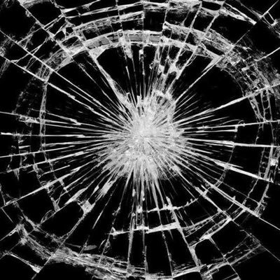 WZaurusu's profile picture. 阪大 B4