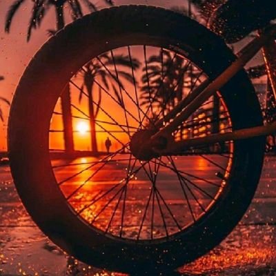 AbelJun24898349's profile picture. 