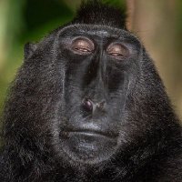 Dr. HoneyBall (@honeyballd62918) 's Twitter Profile