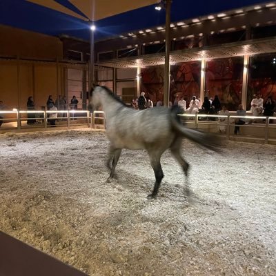 techHessah's profile picture. #IT| @GDGInnovators  Member of | #أجيالنا_الواعدة