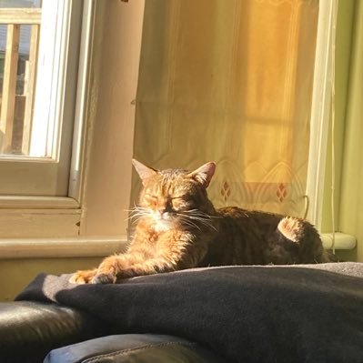 MenopauseStair1's profile picture. Cat, music, food, loving menopausal wife, Gooner and mum to two almost twenty somethings.