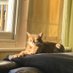 MenopauseStaircase (@menopausestair1) Twitter profile photo MenopauseStaircase (@menopausestair1) Twitter profile photo