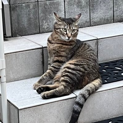 hrs0089's profile picture. 趣味は散歩と読書と猫の観察。