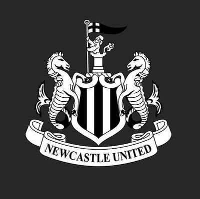 NUFCSF's profile picture. 🔰 | Lover of ⚽️: Newcastle United 🖤🤍 | Follower of the Premier League 🌟 |