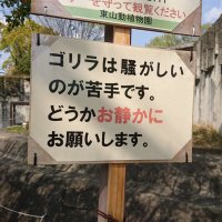 マキしまむら春物 (@suck_the_end) 's Twitter Profile