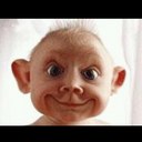 Chris - @ChrisLenning - Twitter