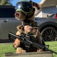 Tactical Buddy(@TacticalBuddy) 's Twitter Profile Photo