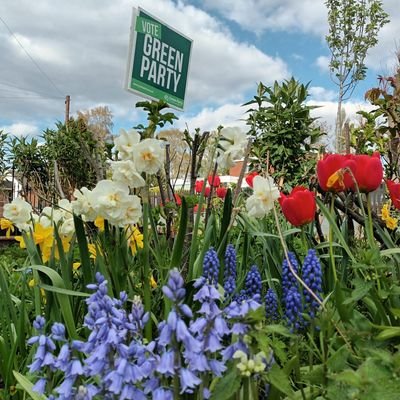 KenilGreens's profile picture. Published and promoted by John Dearing for Warwick District Green Party c/o 2 Hawthorn Rd CV31 3HD. Also on Instagram and Bluesky as @kenilworthgreens