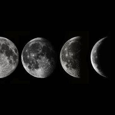 TaylorRealMusic's profile picture. It's not a secret, I'm a puzzle, got a lot of missing pieces