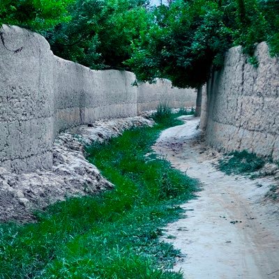 IHewadyar58104's profile picture. 