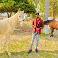 ᴇʜꜱᴀɴ ʏᴏᴜꜱᴀꜰ 🍁 (@itzehsan0) 's Twitter Profile