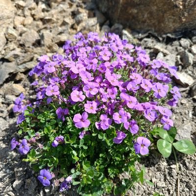 official43286's profile picture. 