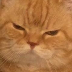 fexr7fav's profile picture. 