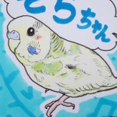 ミニチュアダックスとセキセイインコ3羽とマメルリハとジャンガリアンとの生活🐶🐤🐹 ペットとゲームと旅行が生き甲斐☺️2023年5月から呟いてます(´∀｀)無言フォロー失礼します🙇‍♀️