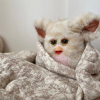 くましゃん、落花生人(毛はえちゃった)、へびしゃんぽしぇっと 可愛すぎて震える… . . 📷2023/2/4 #シャンシャン #香香