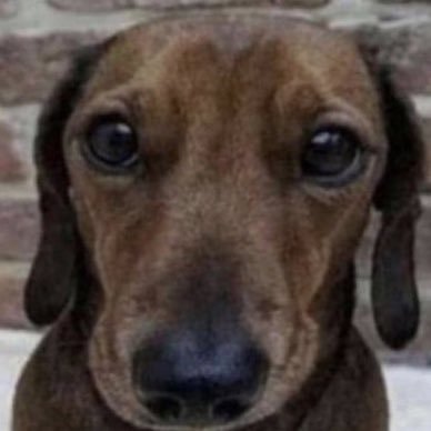 dre3110000's profile picture. 20/ MT 🇲🇹