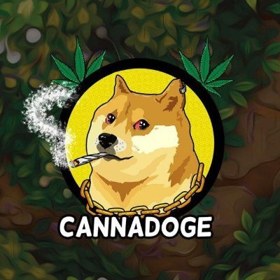 very baked CannaDoge 🍁

daily bake at 4:20 UTC 💨