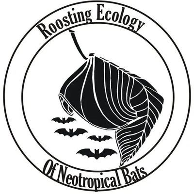 Proyecto de Conservación de Refugios de Murciélagos Neotropicales | Follow us on Instagram and Facebook for more 🦇