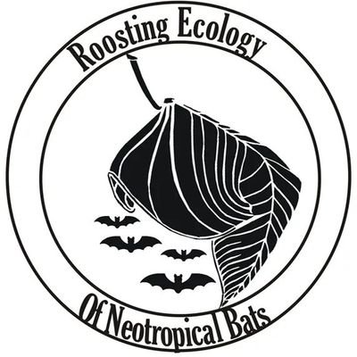 roostingecology Profile Picture