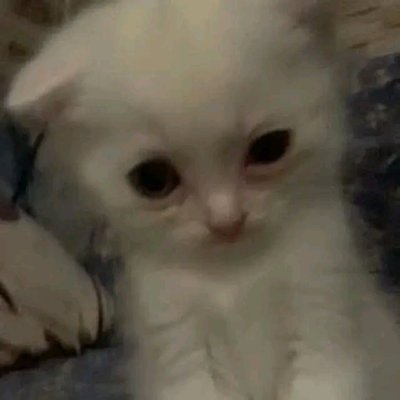 KellStylesH's profile picture. Seen It All Before