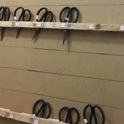 iokettomekas48's profile picture. 